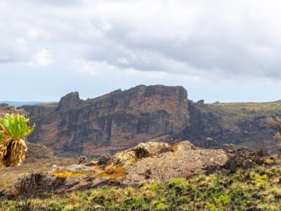 A photogragh of the mountain rock captured during a hiking experience on Mount Elgon in Mount Elgon National Park located both in Uganda and Kenya.