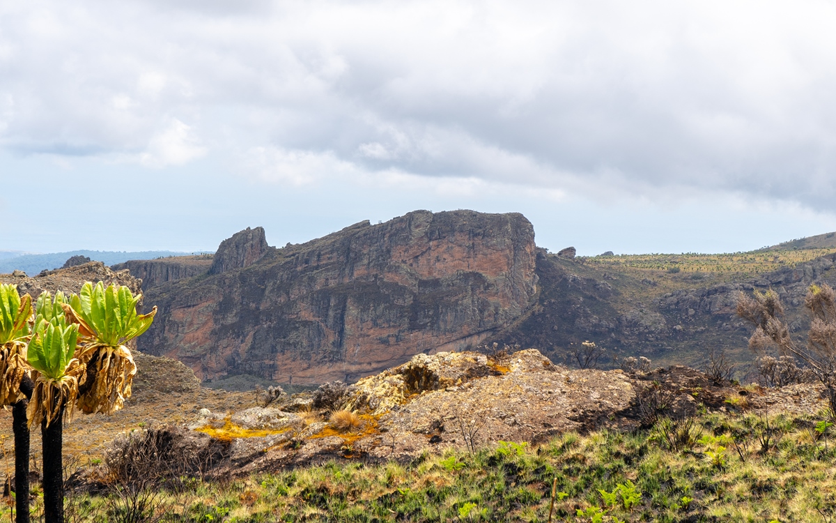 A photogragh of the mountain rock captured during a hiking experience on Mount Elgon in Mount Elgon National Park located both in Uganda and Kenya.