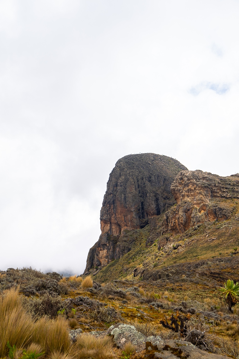 A photogragh of a rock on Mount Elgon captured during a hiking experience in Mount Elgon National Park located both in Uganda and Kenya.