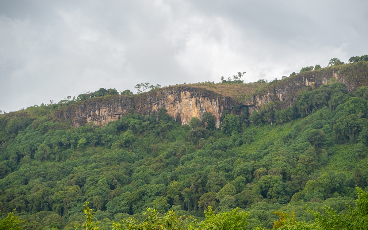 A photogragh of the forest view and mountain rock captured during a hiking experience on Mount Elgon in Mount Elgon National Park located both in Uganda and Kenya.
