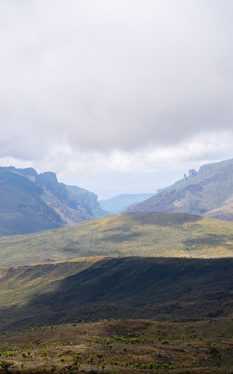 A photogragh of Mount Elgon ranges captured during a hiking experience in Mount Elgon National Park located both in Uganda and Kenya.