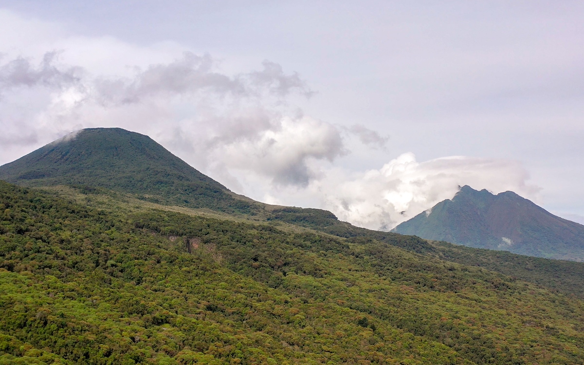 A photograph of the Virunga mountain ranges and forest captured in Mgahinga Gorilla National Park in South-Western Uganda.