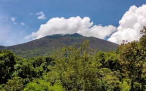 Rainforest and Virunga mountains captured in Mgahinga Gorilla National Park in South-Western Uganda.