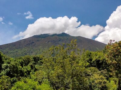 A photograph of a rainforest and Virunga mountains captured in Mgahinga Gorilla National Park in South-Western Uganda.