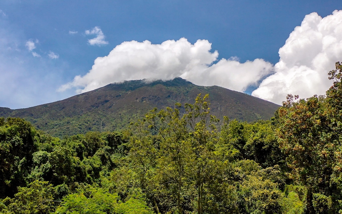 A photograph of a rainforest and Virunga mountains captured in Mgahinga Gorilla National Park in South-Western Uganda.