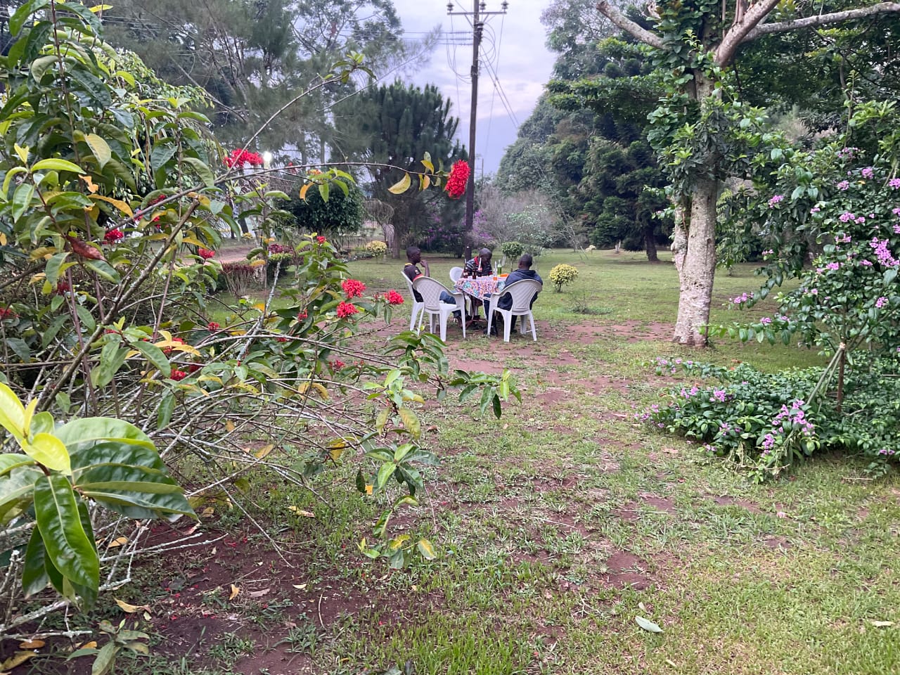 Gardens Photo Ssese Leisure Beach Kalangala, Uganda Central Region