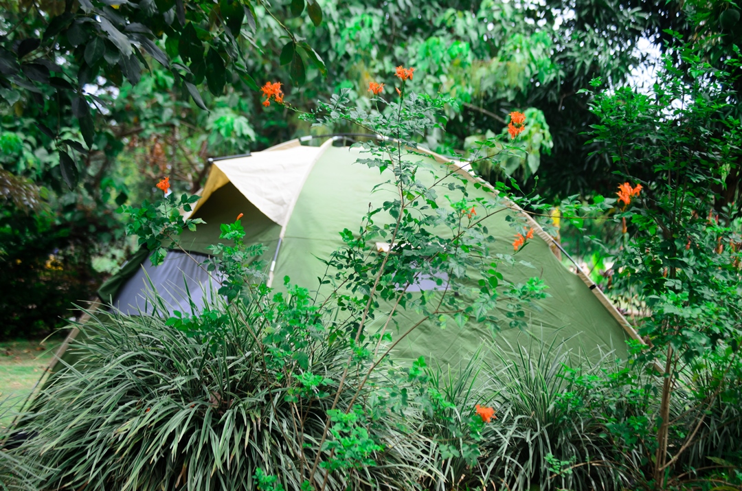 Camping Tents Photo Philo Leisure Gardens Kalangala Uganda Central Region