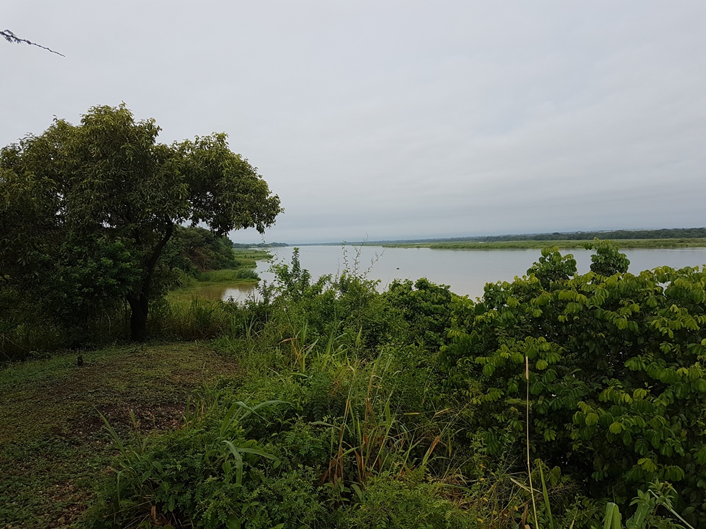 Nature Photo Kabalega Wilderness Lodge Murchison Falls National Park, Uganda North Western Region