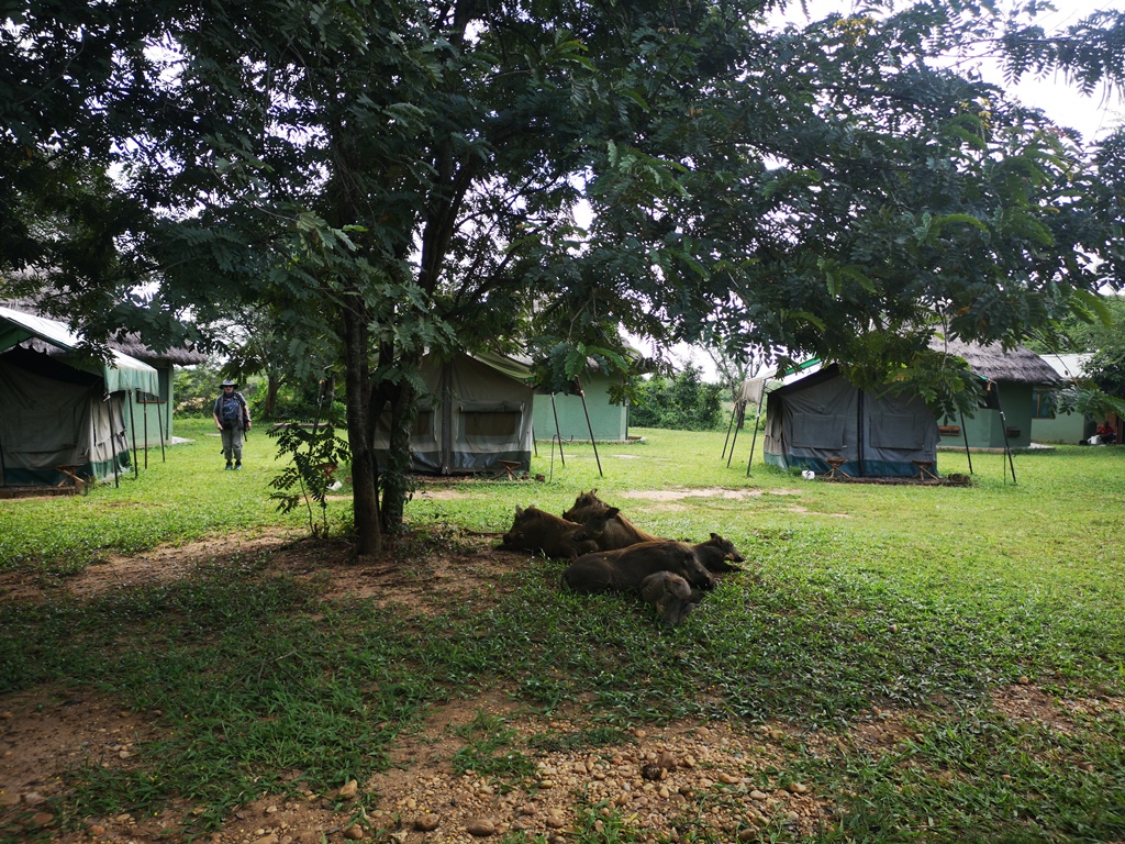 Camping ground Photo Red Chilli Rest Camp North Western Region