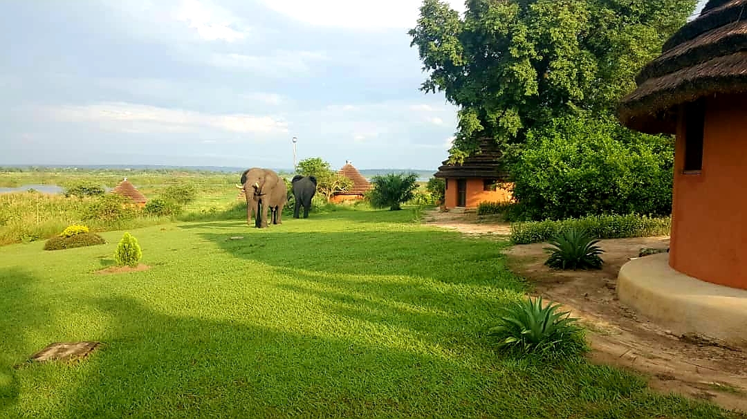 Gardens Photo Heritage Safari Lodge Pakwach Uganda Northern Region