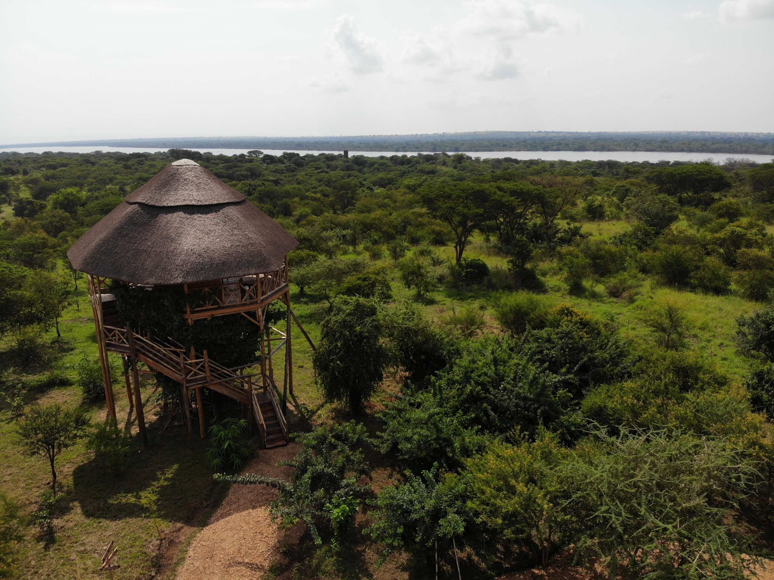 Forest Photo Murchison Falls Bamboo Village Lodge, Uganda North Western Region