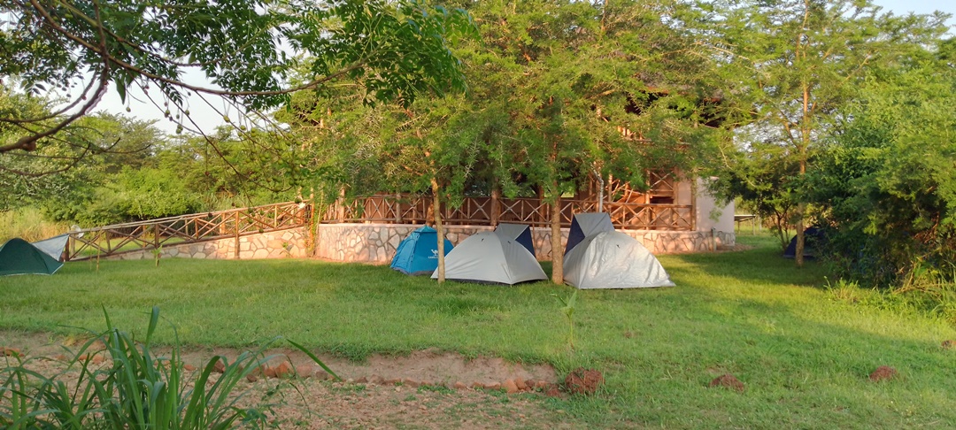 Camping Tents Photo Elephant View Lodge Murchison Falls National Park, Uganda Central Region 1