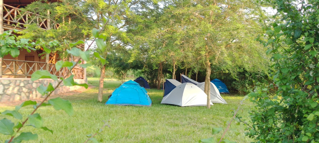 Camping Tents Photo Elephant View Lodge Murchison Falls National Park, Uganda Central Region