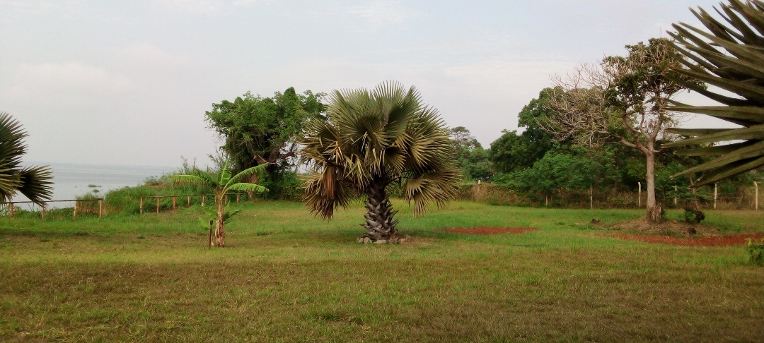 Gardens Photo Kalalo Cottage Inn Pakwach Uganda Northern Region