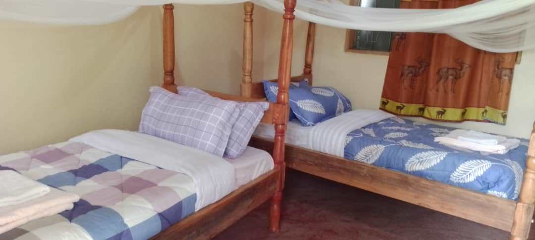 Twin Bedroom Photo Elephant View Lodge Murchison Falls National Park, Uganda Central Region