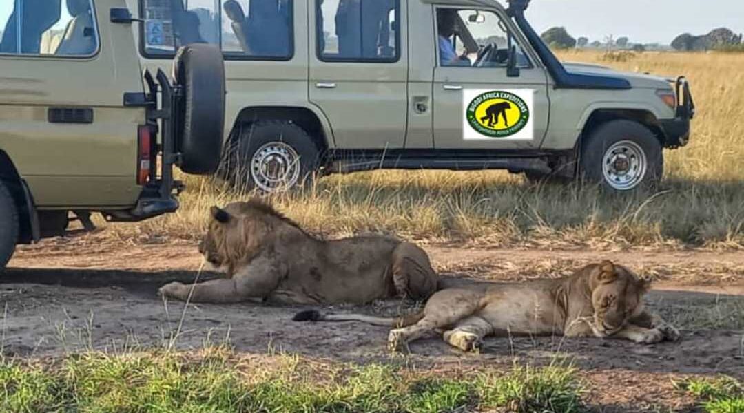 Safari Vehicle