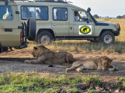 Safari Vehicle