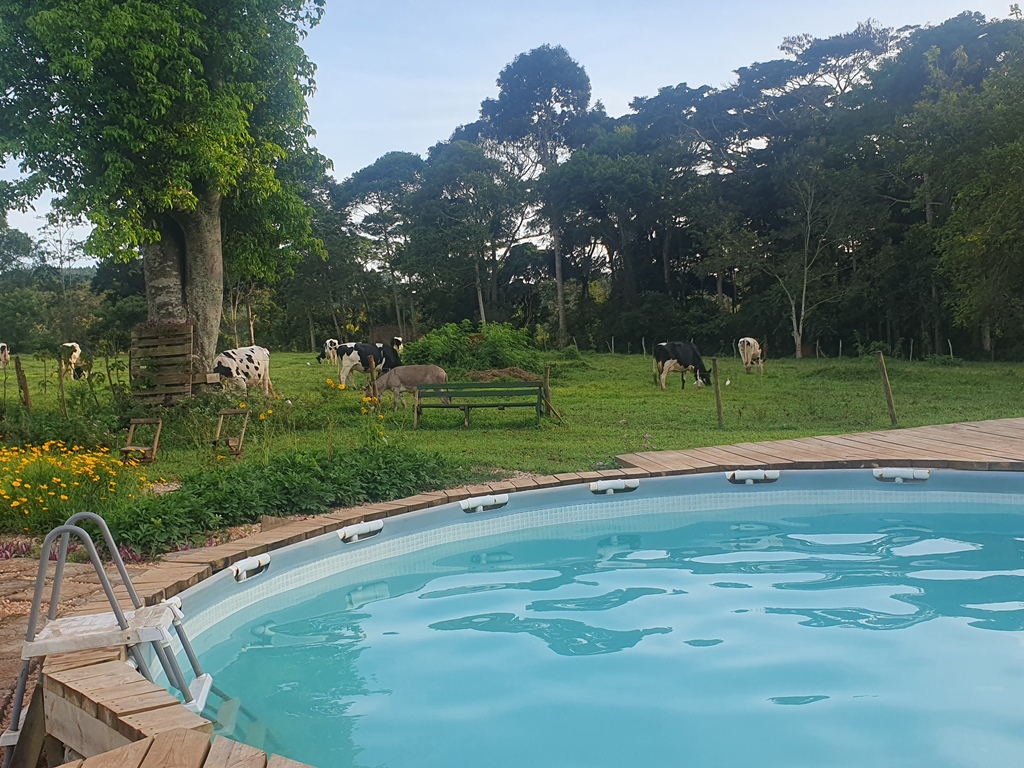 Outdoor swimming pool Photo Bushbaby Lodge Mukono - Hotel Mukono, Uganda Central Region 1