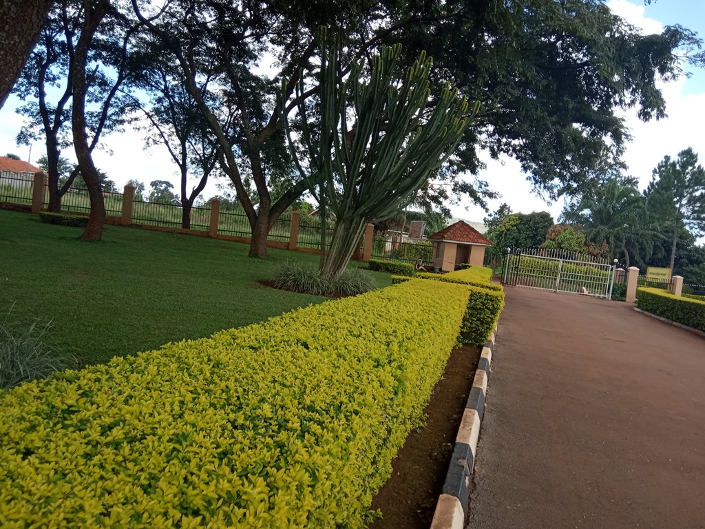 Gardens Photo Hotel Victory Bijja Masindi Uganda Western Region Region