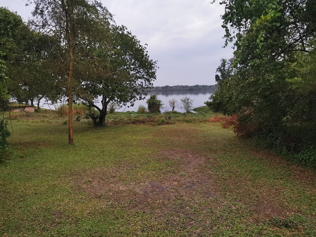 Gardens Photo Kabalega Wilderness Lodge Murchison Falls National Park, Uganda North Western Region