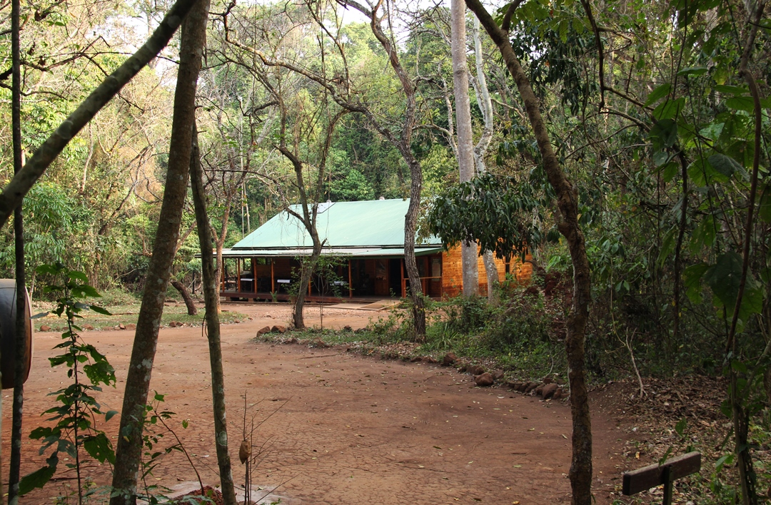 Room Exterior Photo Budongo Eco Lodge Murchison Falls National Park, Uganda North Western Region 1