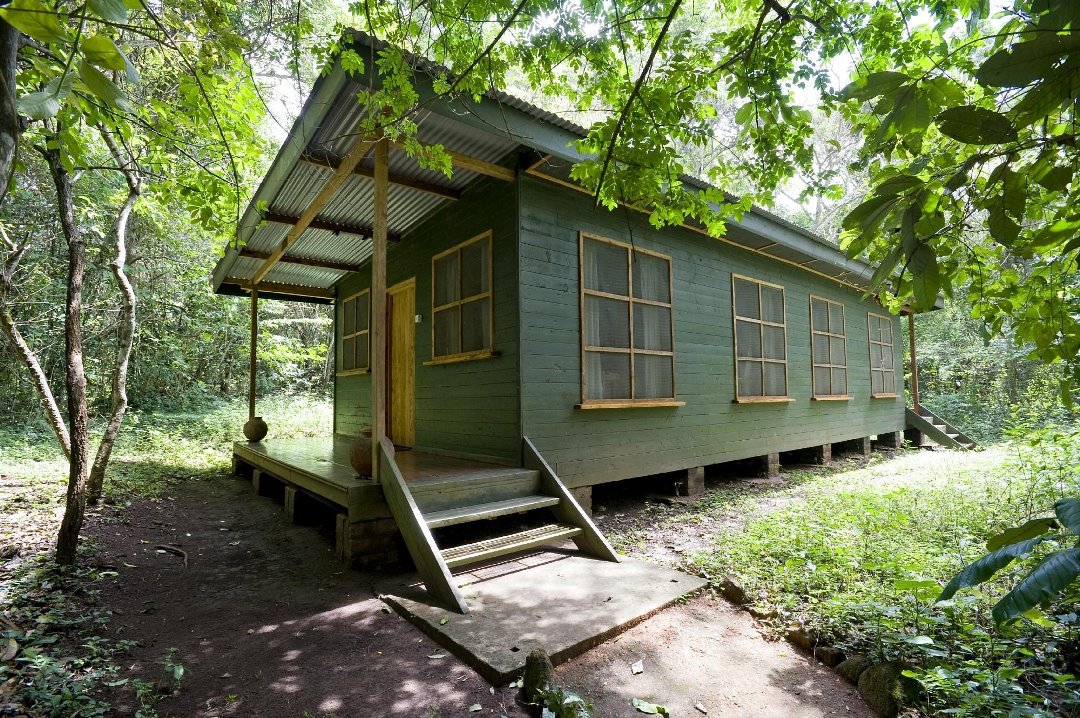 Room Exterior Photo Budongo Eco Lodge Murchison Falls National Park, Uganda North Western Region