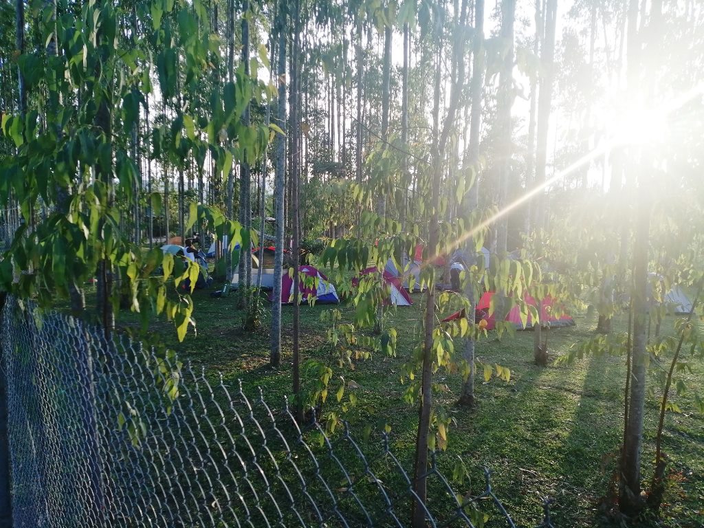 Camping Grounds Photo Murchison Backpackers Masindi Uganda Western Region Region