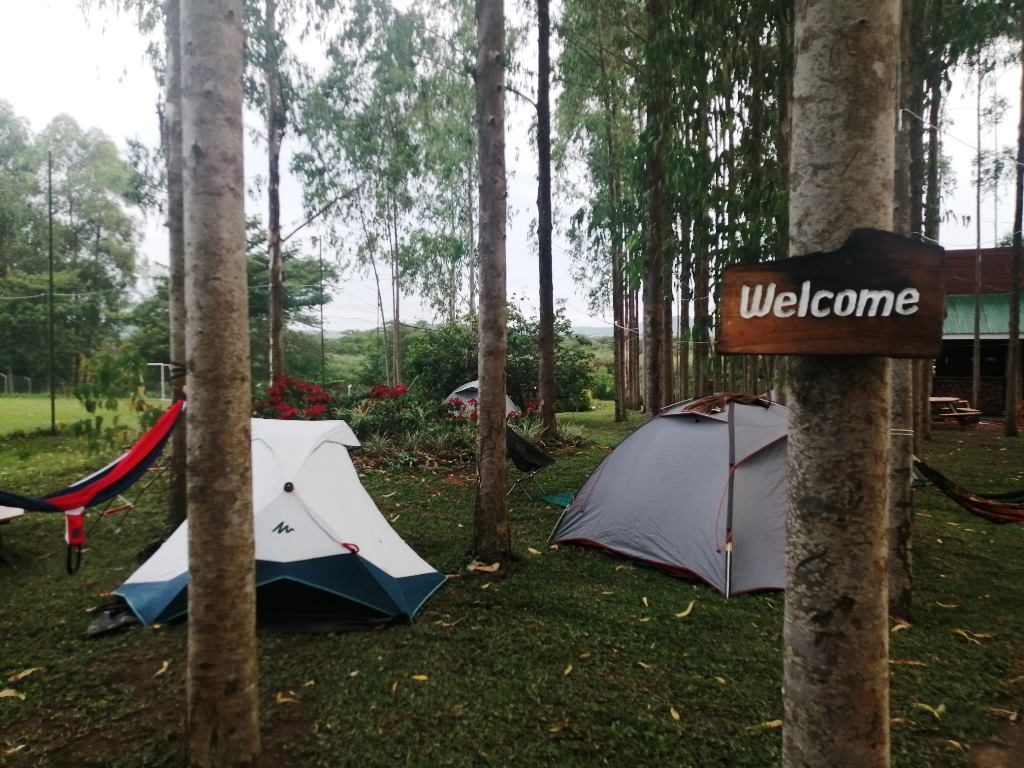 Camping Tents Photo Murchison Backpackers Masindi Uganda Western Region Region 1