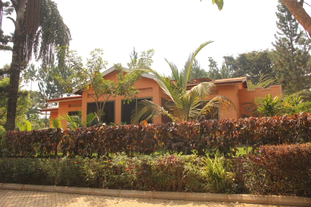 Property Exterior Photo Saltek Forest Cottages Masindi Uganda Western Region Region