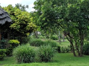 Gardens Photo Mama Washindi Lodge Pakwach, Murchison Falls National Park Uganda Northern Western Region