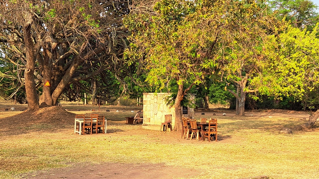 Gardens Photo Ziwa Rhino Lodge Nakasongola Uganda Northern Western Region