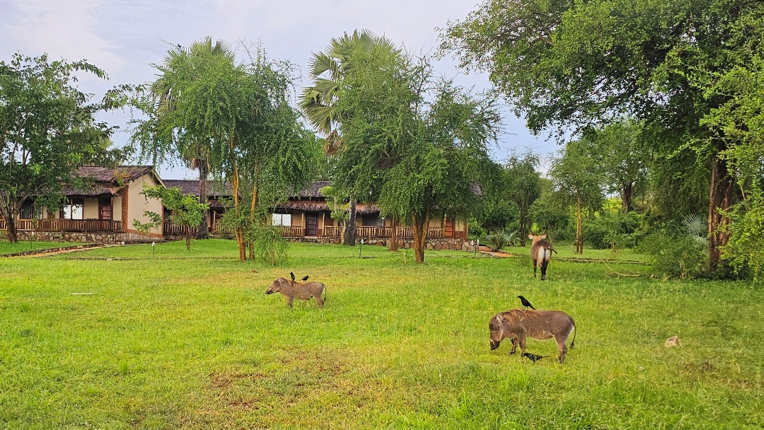 Gardens Photo Pakuba Safari Lodge Pakwach, Murchison Falls National Park Uganda Northern Western Region 1