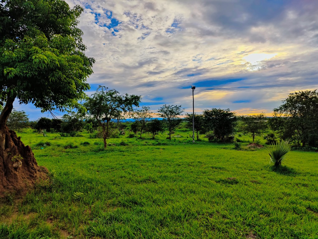 Gardens Photo Tangi safari lodge Pakwach, Uganda Northern Western Region