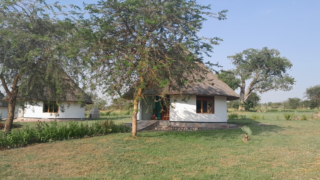 Compound Photo Wild Palace Lodge Pakwach, Murchison Falls National Park Uganda Northern Western Region