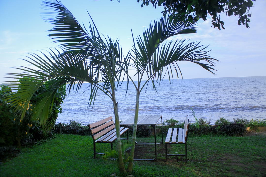 Lake side Chairs Photo Saffron Beach Bistro & Cottages Entebbe Uganda Central Region 1