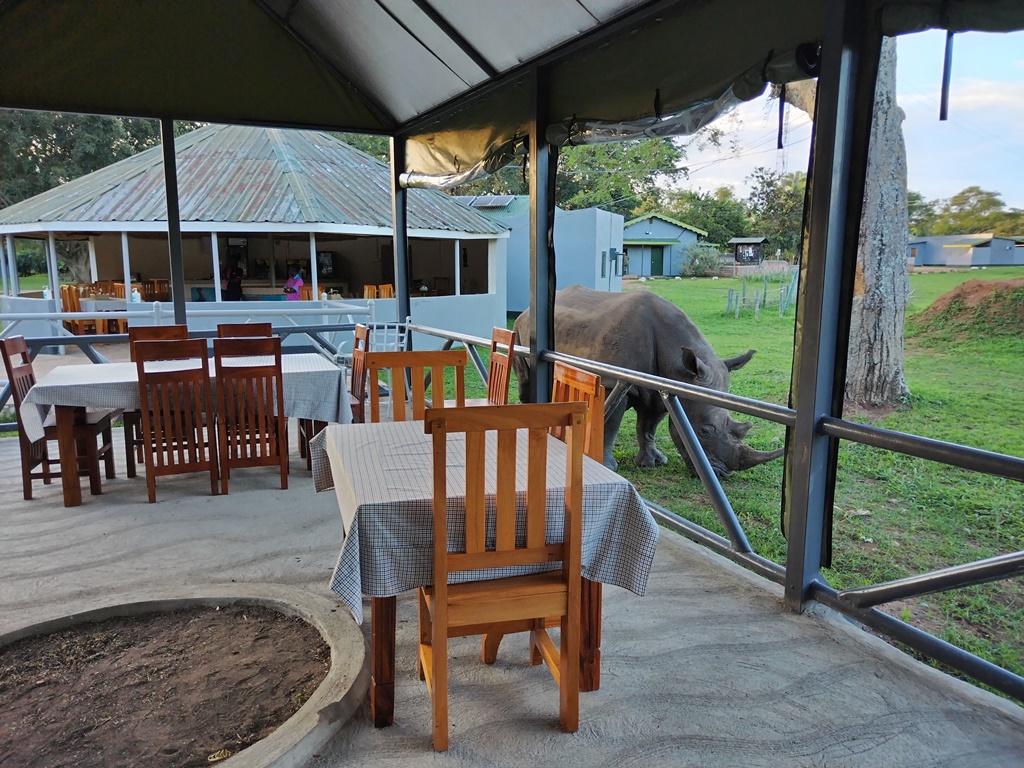 Restaurant Photo Ziwa Rhino Lodge Nakasongola Uganda Northern Western Region