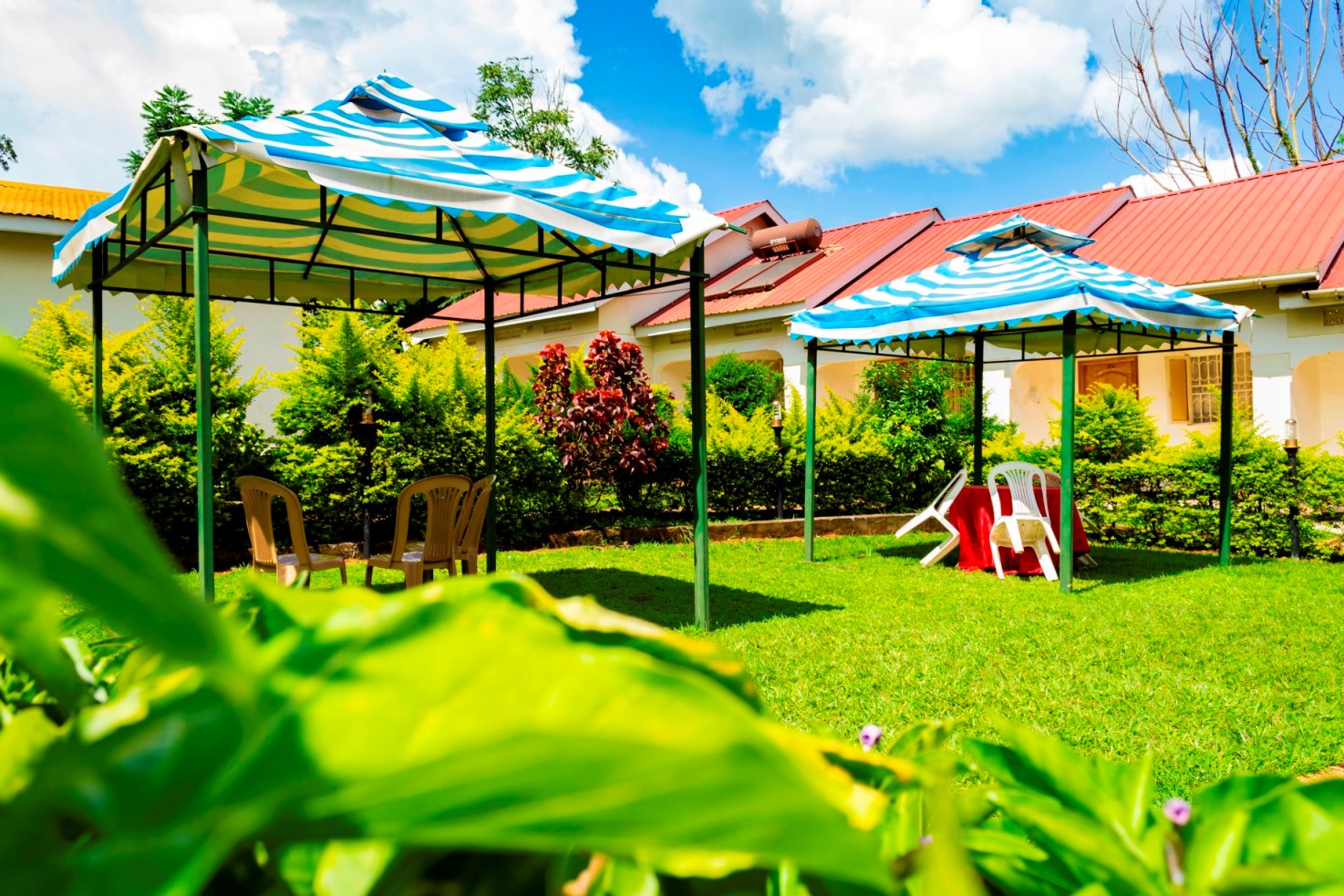 Gardens Photo Kijungu Hill Hotel Hoima Uganda Western Region