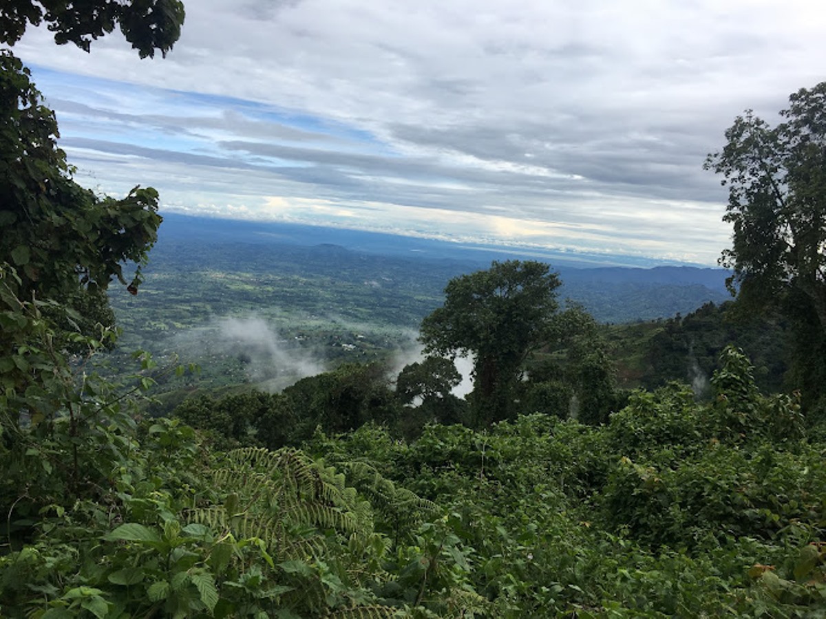 A photograph from the Karangura peak taken during a hiking tour on Rwenzori Mountains located in South Western Uganda. Photo by Piotr Kasprzyk