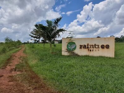 A photograph of the the Raintree farm sign post taken during agri-tourism in Masindi in Northern Uganda. Photo by Kevin Obote