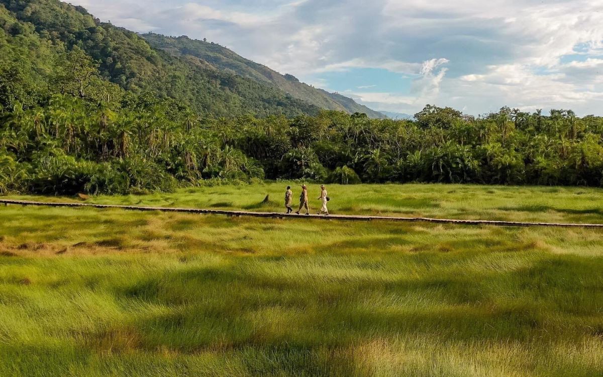 A photograph of the forest view taken during a nature hike in Semuliki National Park in Western Uganda.