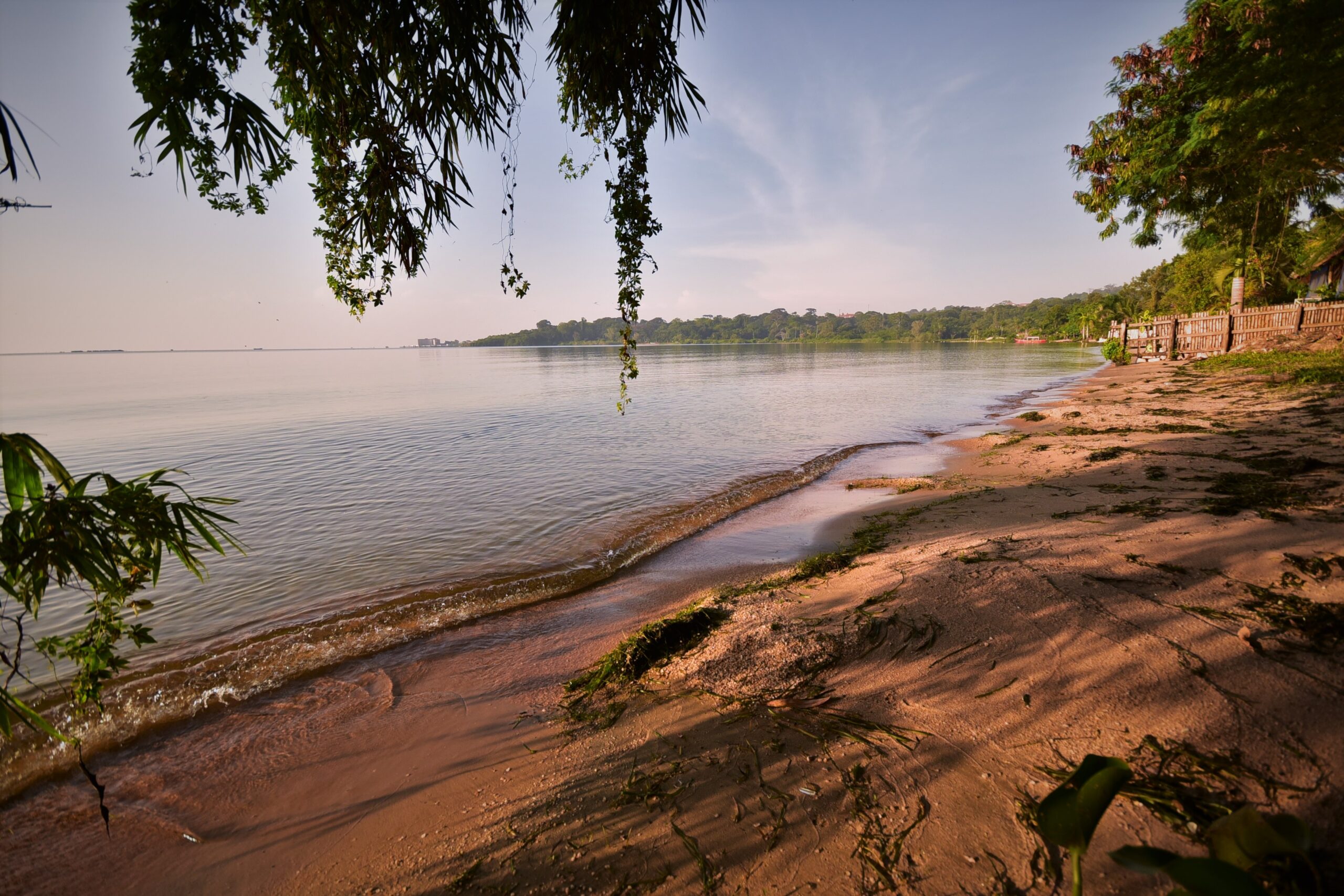 Lake View Photo Elementis Entebbe Guesthouse Entebbe Uganda Central Region