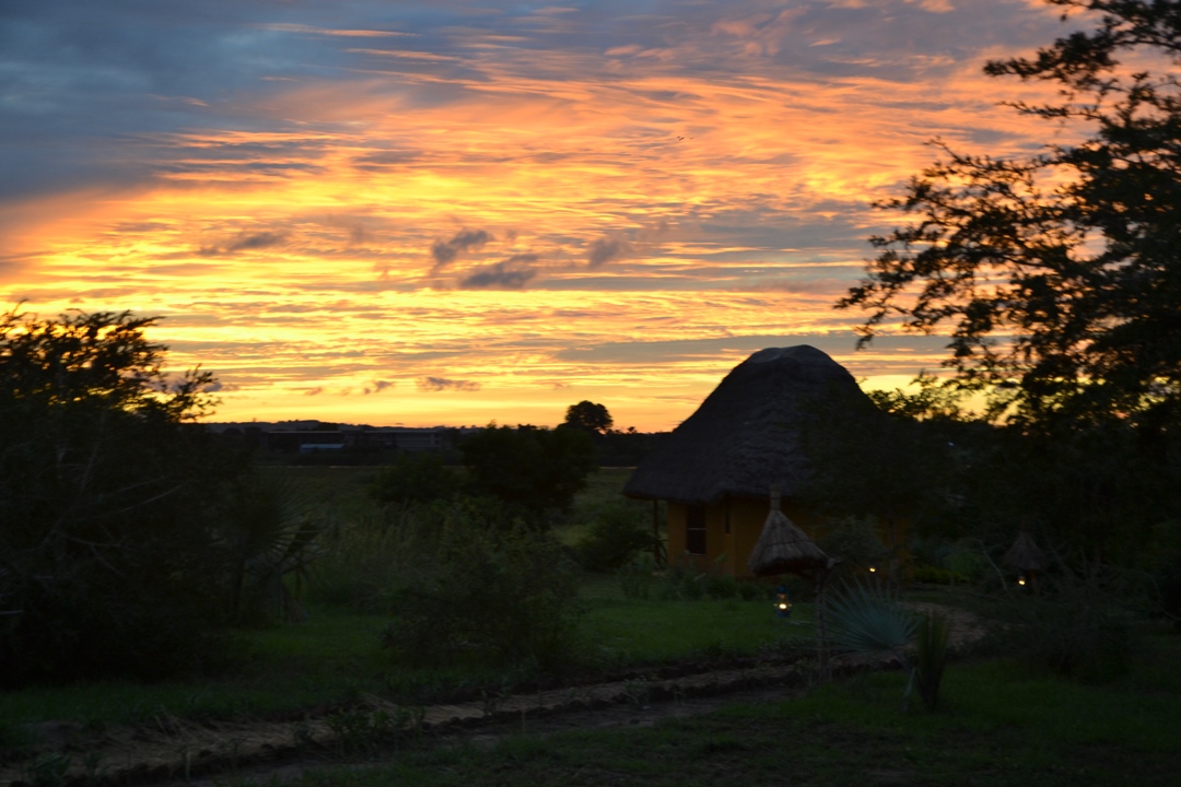 Sunset Photo Hornbill Bush Lodge Pakwach, Murchison Falls National Park Uganda Northern Western Region