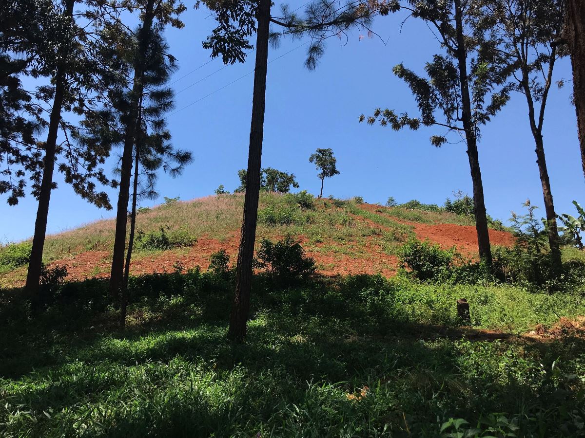 A photograph of Mpumudde Hill where Chwa II Kabelega, the Omukama of Bunyoro (1869-1899) died in his sleep while returning from exile in 1923 located in Eastern Uganda