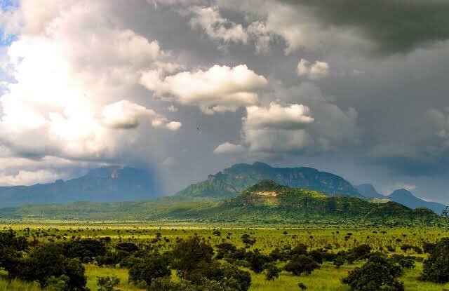 A photograph of the vegetation and mountain ranges in the Pian Upe Wildlife Reserve located in Eastern Uganda.
