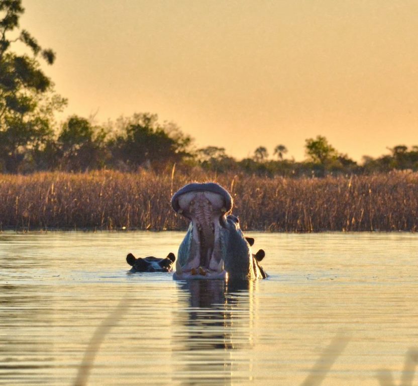 Wildlife Photo ATACO Country Resort Hotel Uganda Western Region 1