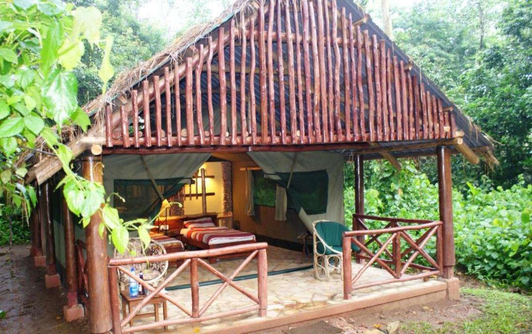 Room Exterior Photo Kibale Forest Camp Lodge, Kibale Forest National Park Uganda Western Region 1