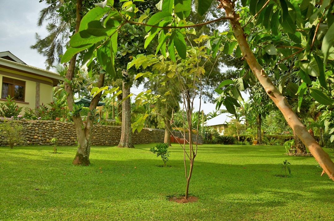 Gardens Photo Sheevys Bed and Breakfast Hotel Fort Portal Uganda Western Region 01