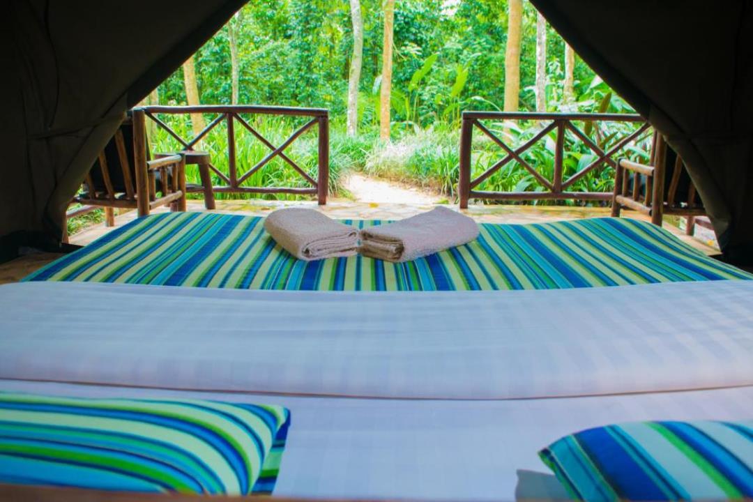 Double Bedroom Photo Kibale Forest Camp Lodge, Kibale Forest National Park Uganda Western Region 1