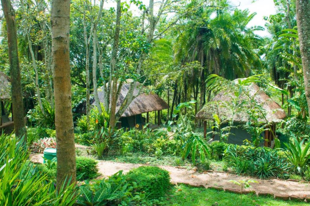 Gardens Photo Kibale Forest Camp Lodge, Kibale Forest National Park Uganda Western Region