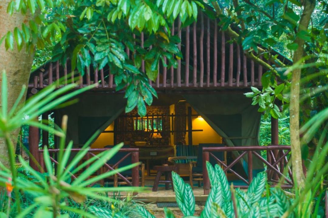 Room Exterior Photo Kibale Forest Camp Lodge, Kibale Forest National Park Uganda Western Region